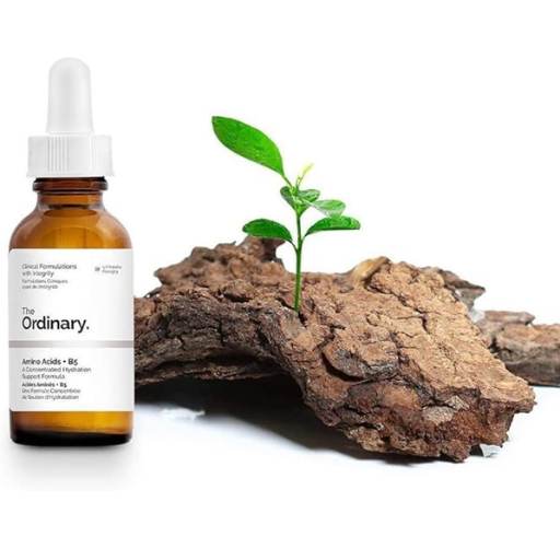 THE ORDINARY Amino Acids + B5-30ml